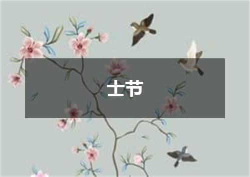 士节