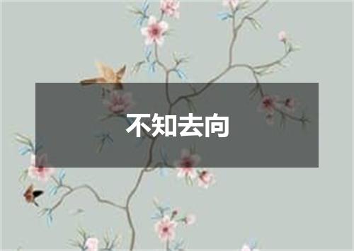 不知去向