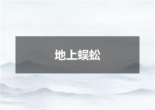地上蜈蚣