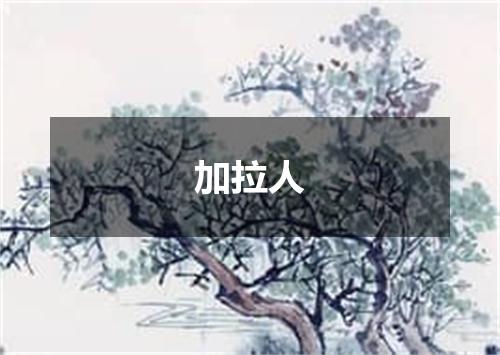 加拉人