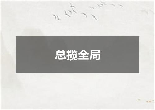 总揽全局