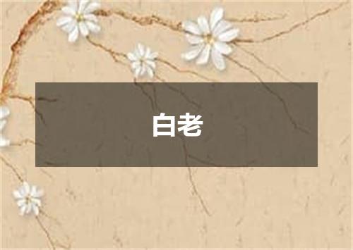 白老
