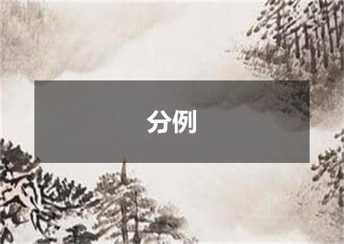 分例