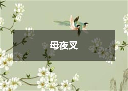 母夜叉