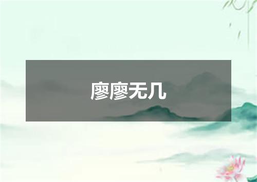 廖廖无几