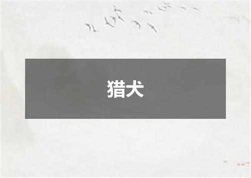 猎犬