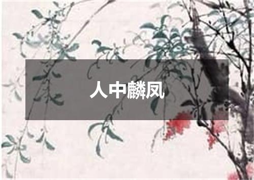 人中麟凤