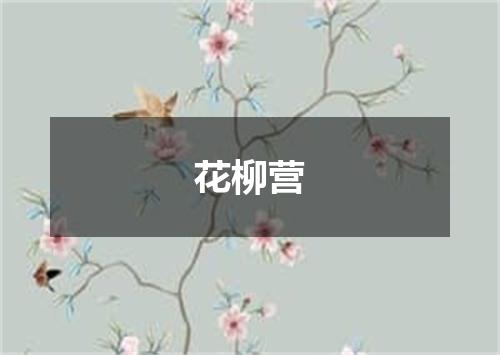 花柳营