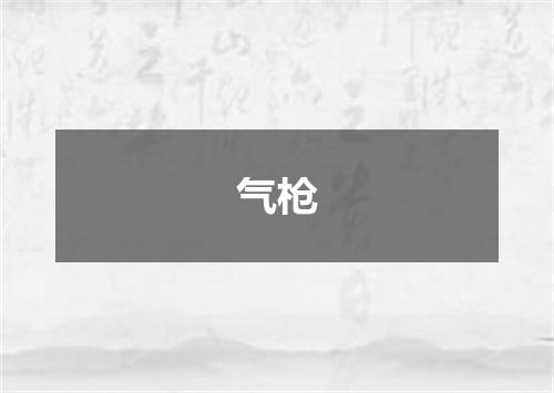 气枪