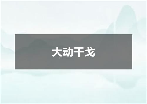大动干戈