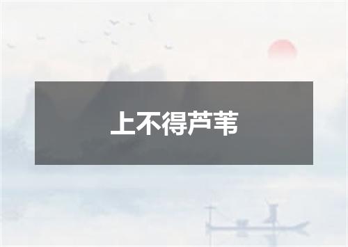 上不得芦苇