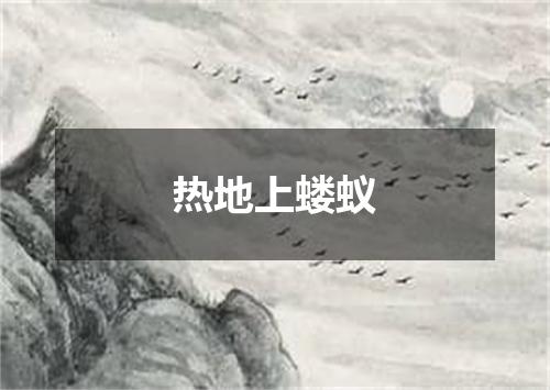 热地上蝼蚁