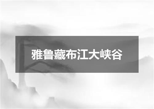 雅鲁藏布江大峡谷