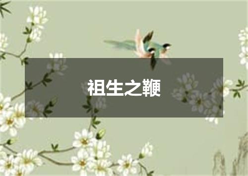 祖生之鞭