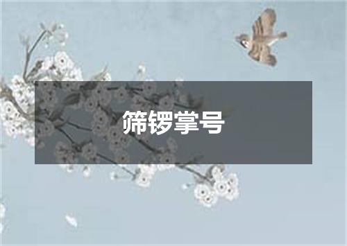 筛锣掌号