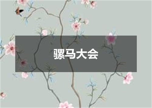 骡马大会