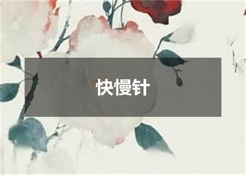 快慢针