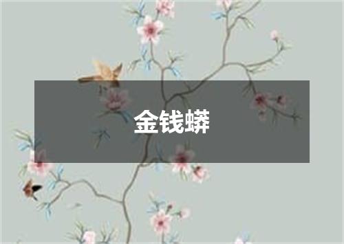 金钱蟒