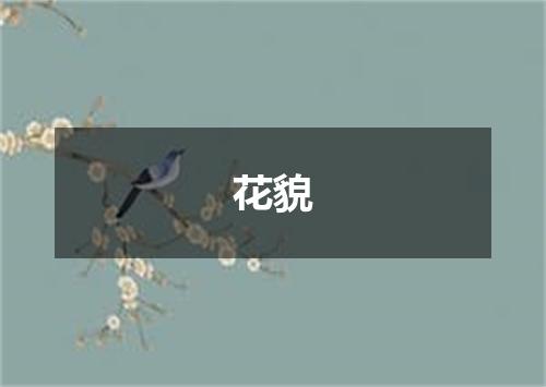 花貌