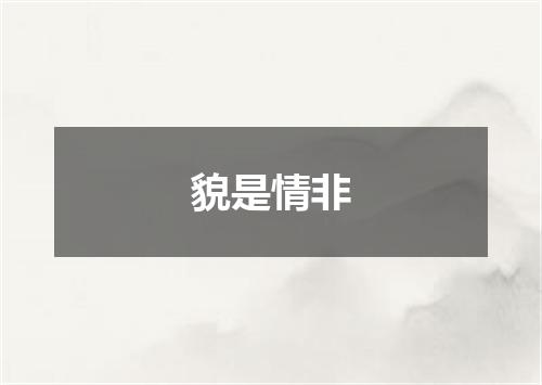 貌是情非