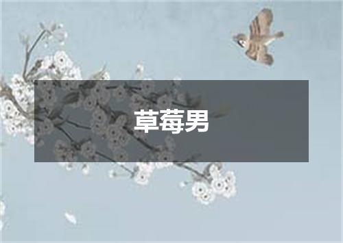 草莓男
