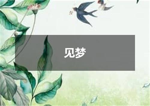 见梦
