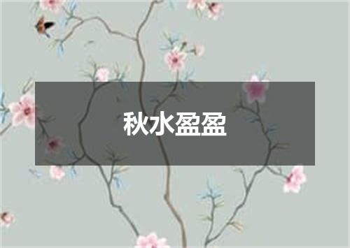 秋水盈盈