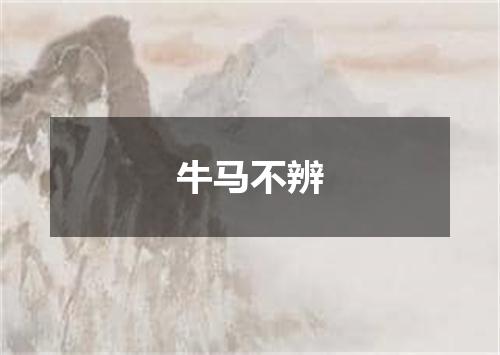 牛马不辨