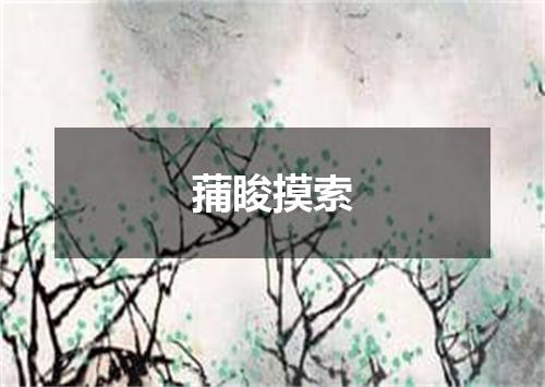 蒱睃摸索