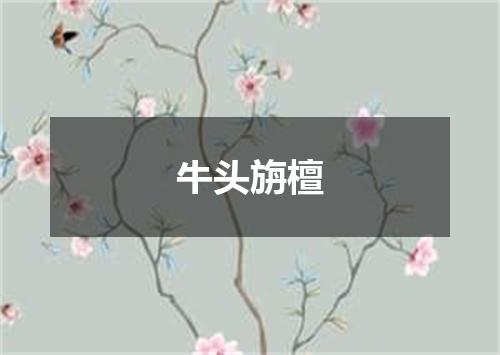 牛头旃檀