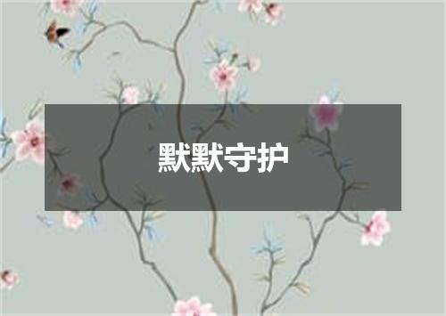 默默守护