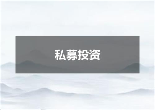 私募投资