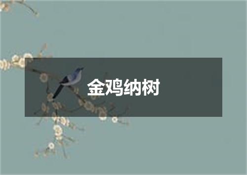 金鸡纳树
