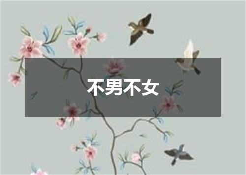 不男不女