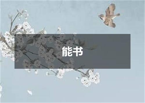 能书