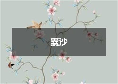 囊沙