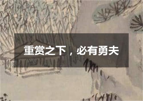 重赏之下，必有勇夫