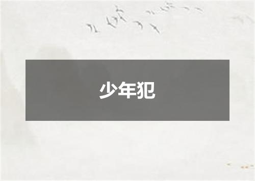 少年犯