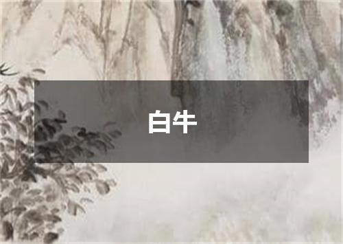 白牛