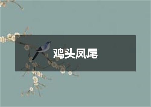 鸡头凤尾