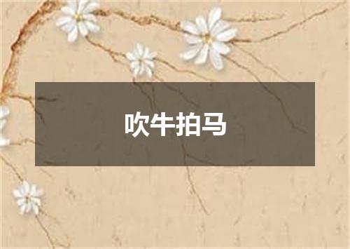 吹牛拍马