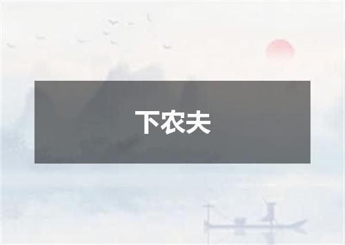 下农夫