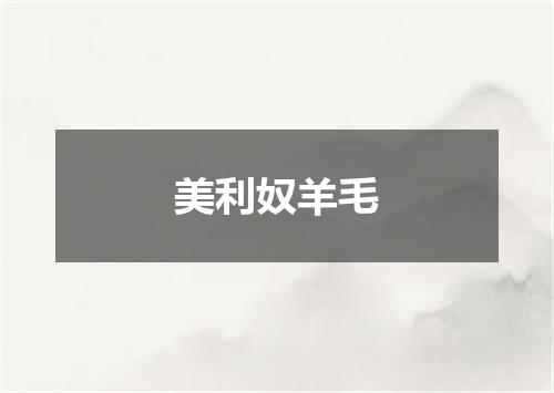 美利奴羊毛