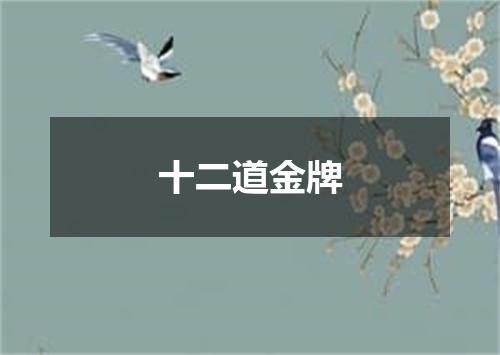 十二道金牌