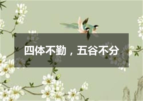 四体不勤，五谷不分