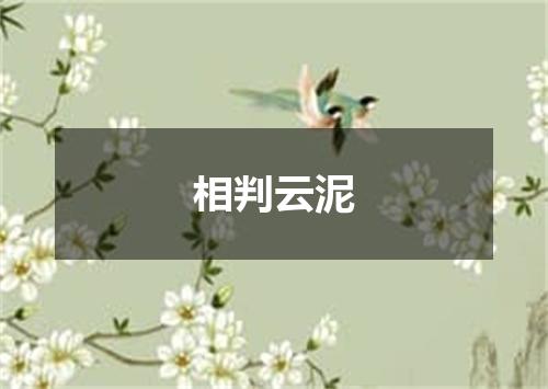 相判云泥