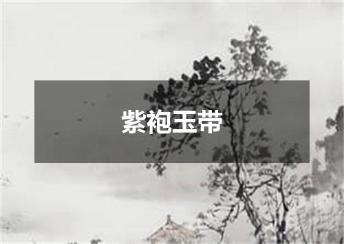 紫袍玉带