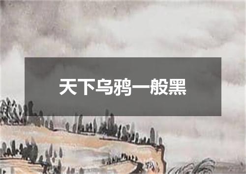 天下乌鸦一般黑