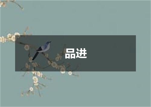 品进
