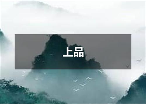 上品